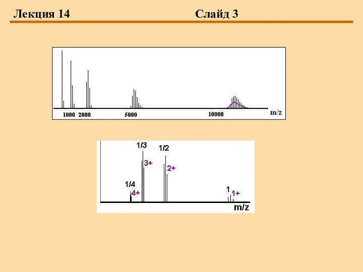 Лекция 14 Слайд 3