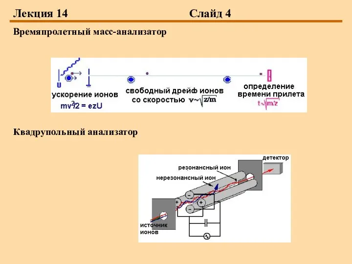 Лекция 14 Слайд 4 Времяпролетный масс-анализатор Квадрупольный анализатор