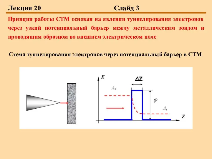 Лекция 20 Слайд 3 Принцип работы СТМ основан на явлении туннелирования