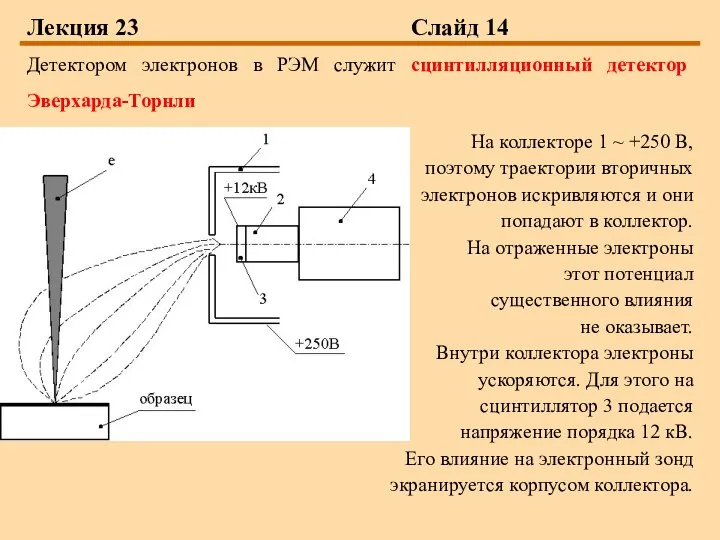 Лекция 23 Слайд 14 Детектором электронов в РЭМ служит сцинтилляционный детектор