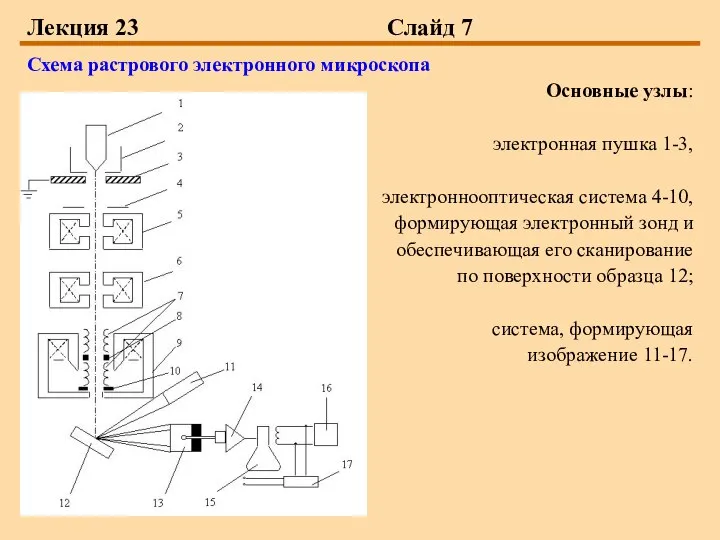 Лекция 23 Слайд 7 Схема растрового электронного микроскопа Основные узлы: электронная