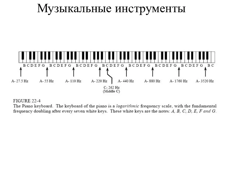 Музыкальные инструменты