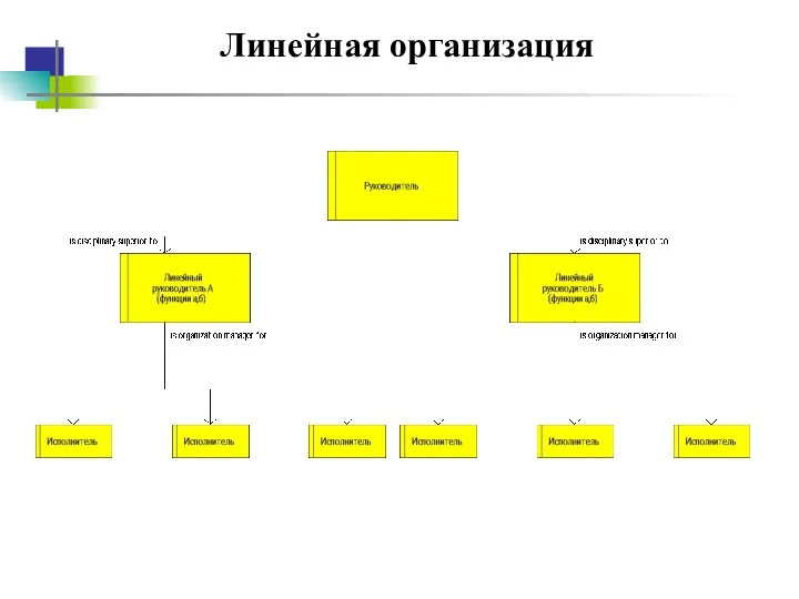 Линейная организация