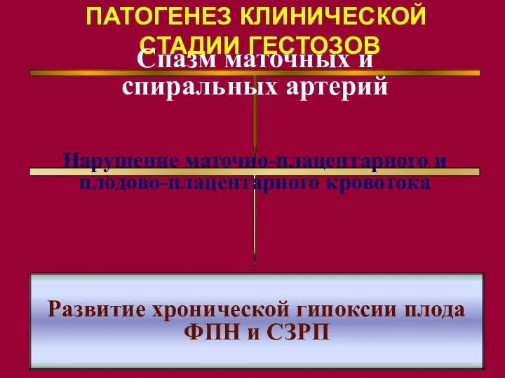 ПАТОГЕНЕЗ КЛИНИЧЕСКОЙ СТАДИИ ГЕСТОЗОВ Спазм маточных и спиральных артерий Нарушение маточно-плацентарного