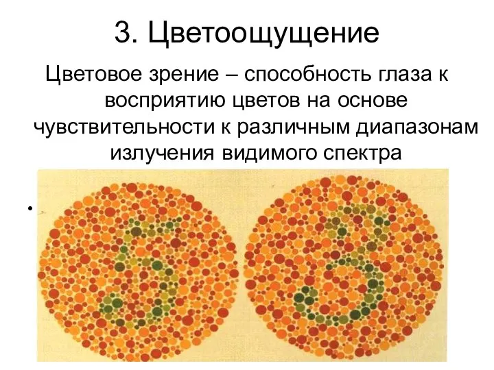 3. Цветоощущение Цветовое зрение – способность глаза к восприятию цветов на