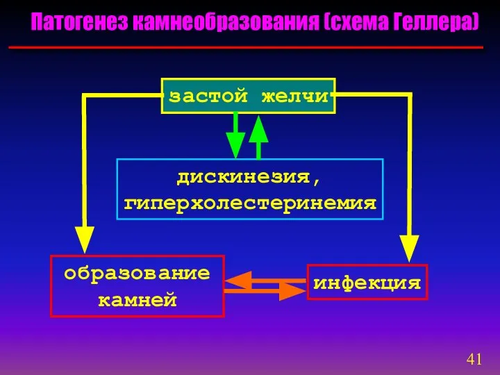 Патогенез камнеобразования (схема Геллера) застой желчи дискинезия, гиперхолестеринемия образование камней инфекция