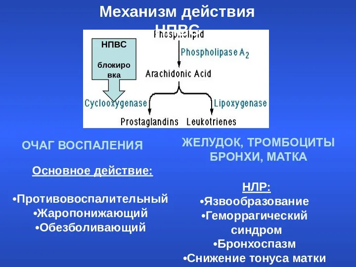 Механизм действия НПВС НПВС блокировка Основное действие: Противовоспалительный Жаропонижающий Обезболивающий НЛР: