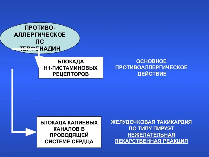 ПРОТИВО- АЛЛЕРГИЧЕСКОЕ ЛС ТЕРФЕНАДИН БЛОКАДА Н1-ГИСТАМИНОВЫХ РЕЦЕПТОРОВ БЛОКАДА КАЛИЕВЫХ КАНАЛОВ В