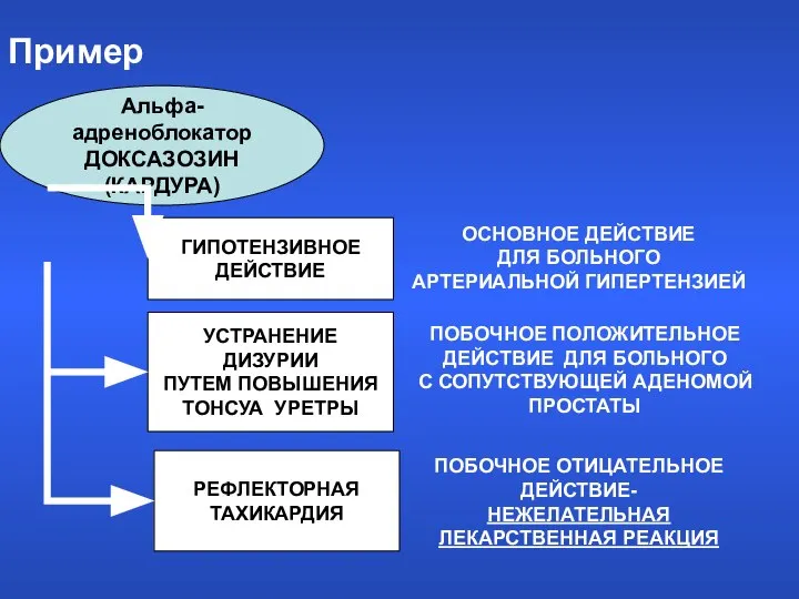 Пример Альфа-адреноблокатор ДОКСАЗОЗИН (КАРДУРА) ГИПОТЕНЗИВНОЕ ДЕЙСТВИЕ УСТРАНЕНИЕ ДИЗУРИИ ПУТЕМ ПОВЫШЕНИЯ ТОНСУА