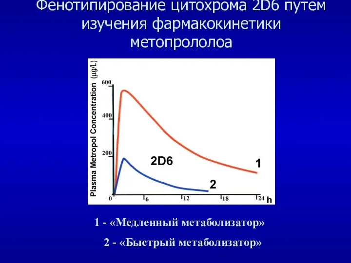 Фенотипирование цитохрома 2D6 путем изучения фармакокинетики метопрололоа 1 - «Медленный метаболизатор» 2 - «Быстрый метаболизатор»