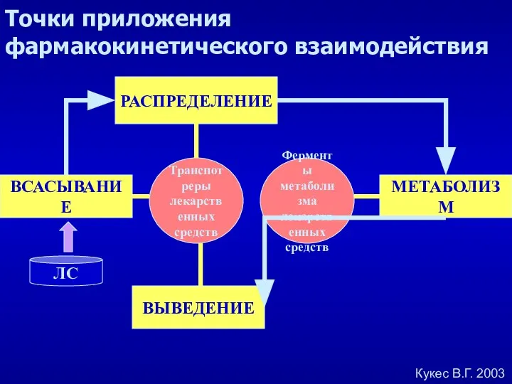 ВСАСЫВАНИЕ РАСПРЕДЕЛЕНИЕ МЕТАБОЛИЗМ ВЫВЕДЕНИЕ Транспотреры лекарственных средств Ферменты метаболизма лекарственных средств