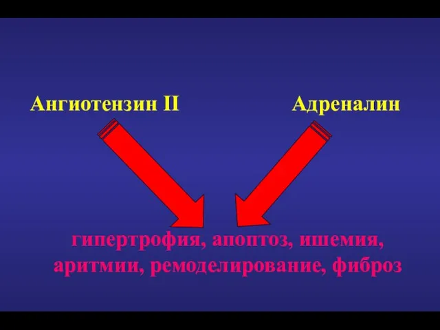 Ангиотензин II Адреналин гипертрофия, апоптоз, ишемия, аритмии, ремоделирование, фиброз