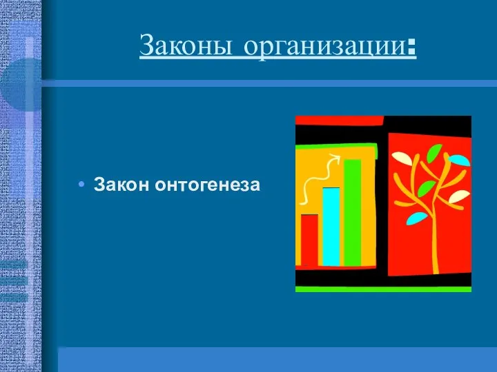 Законы организации: Закон онтогенеза