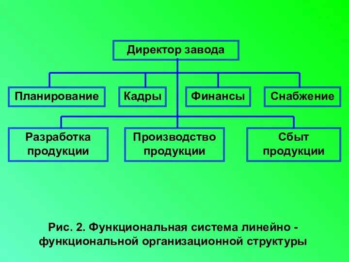 Рис. 2. Функциональная система линейно - функциональной организационной структуры Директор завода