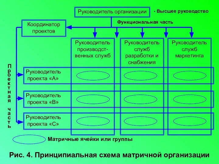 Руководитель организации Координатор проектов Руководитель производст-венных служб Руководитель служб разработки и