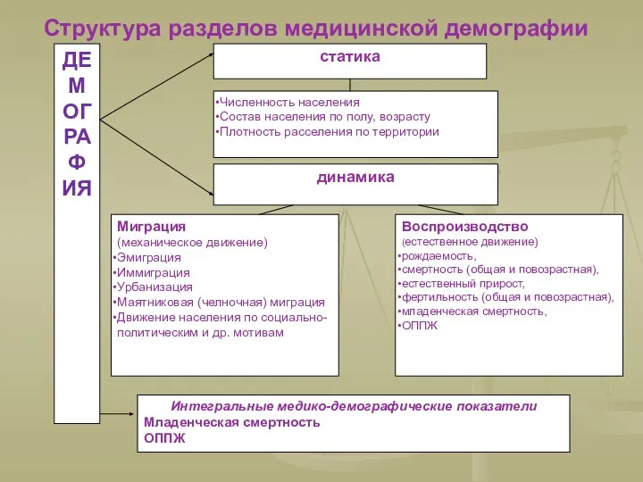 Структура разделов медицинской демографии