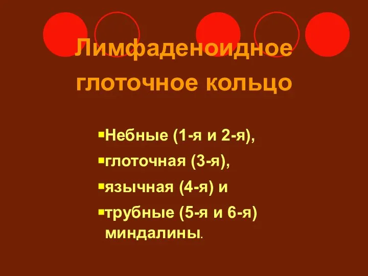 Лимфаденоидное глоточное кольцо Небные (1-я и 2-я), глоточная (3-я), язычная (4-я)