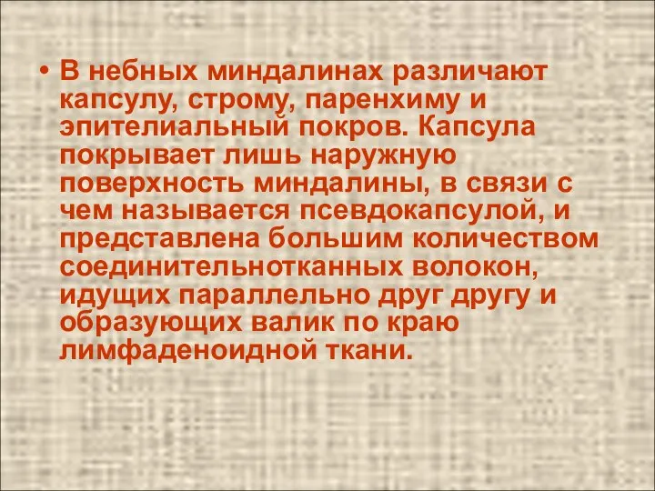 В небных миндалинах различают капсулу, строму, паренхиму и эпителиальный покров. Капсула