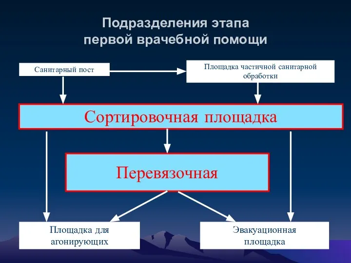 Подразделения этапа первой врачебной помощи Санитарный пост Площадка частичной санитарной обработки