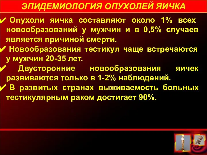 ЭПИДЕМИОЛОГИЯ ОПУХОЛЕЙ ЯИЧКА Опухоли яичка составляют около 1% всех новообразований у