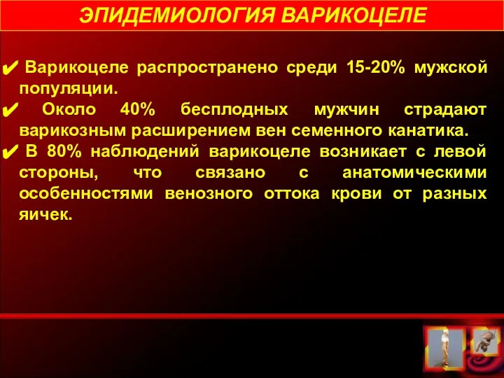 ЭПИДЕМИОЛОГИЯ ВАРИКОЦЕЛЕ Варикоцеле распространено среди 15-20% мужской популяции. Около 40% бесплодных