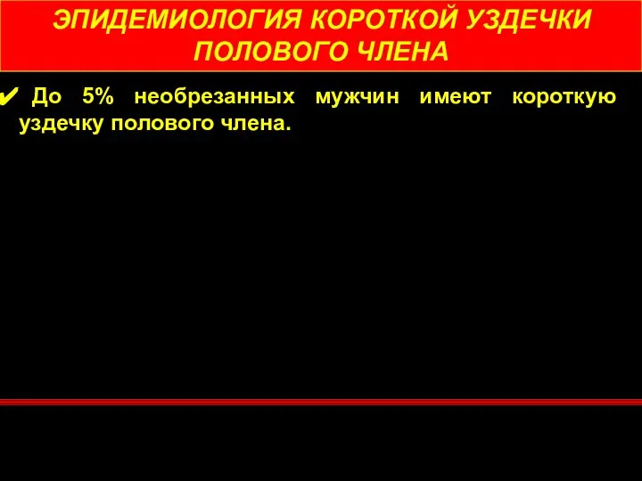 ЭПИДЕМИОЛОГИЯ КОРОТКОЙ УЗДЕЧКИ ПОЛОВОГО ЧЛЕНА До 5% необрезанных мужчин имеют короткую уздечку полового члена.