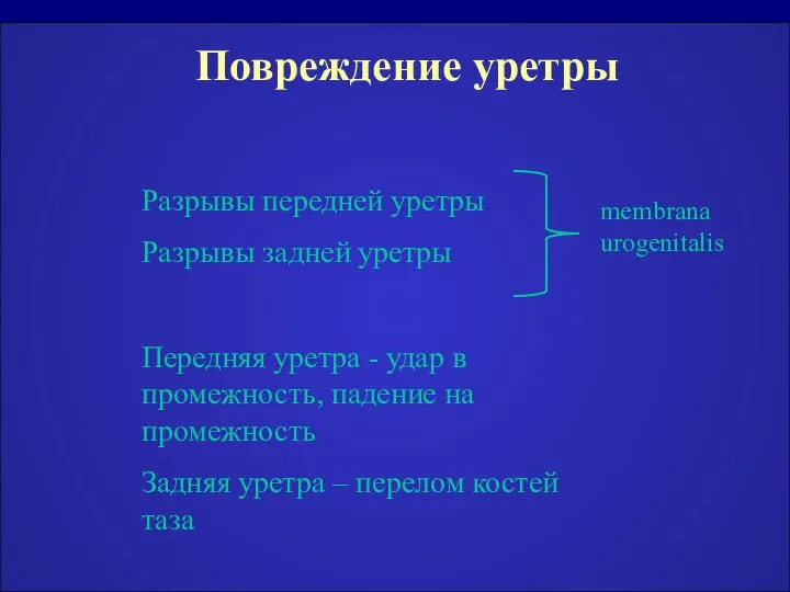 Повреждение уретры Разрывы передней уретры Разрывы задней уретры Передняя уретра -