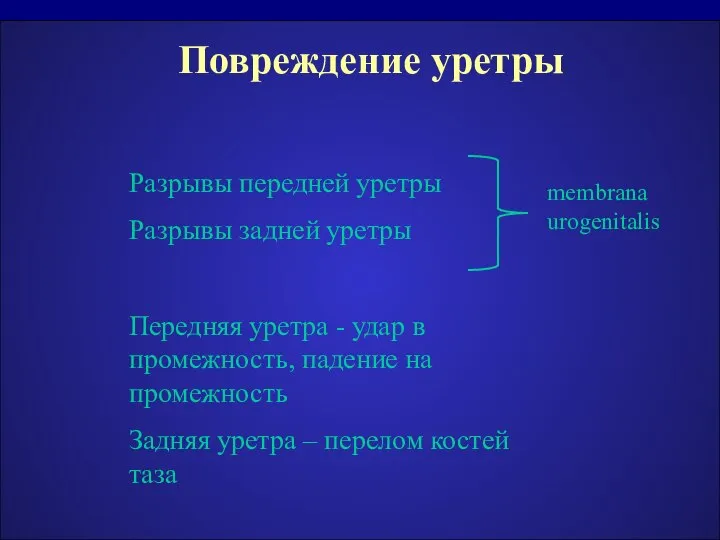 Повреждение уретры Разрывы передней уретры Разрывы задней уретры Передняя уретра -