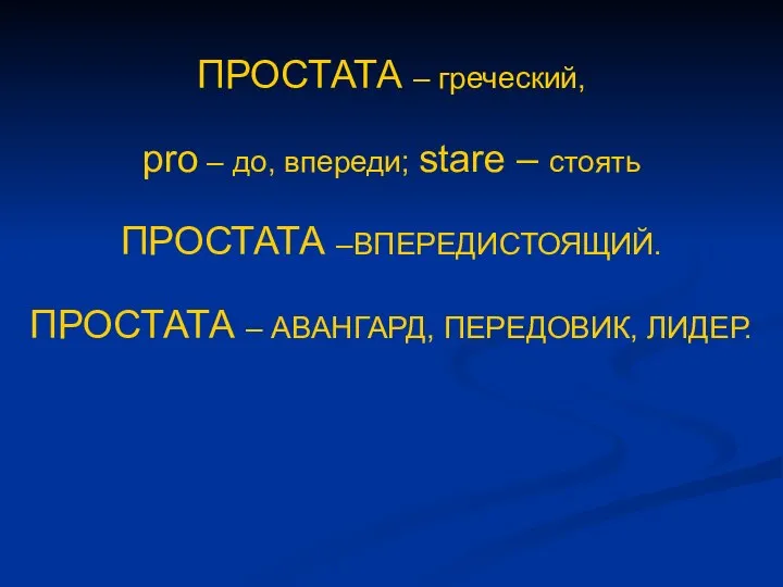 ПРОСТАТА – греческий, pro – до, впереди; stare – стоять ПРОСТАТА