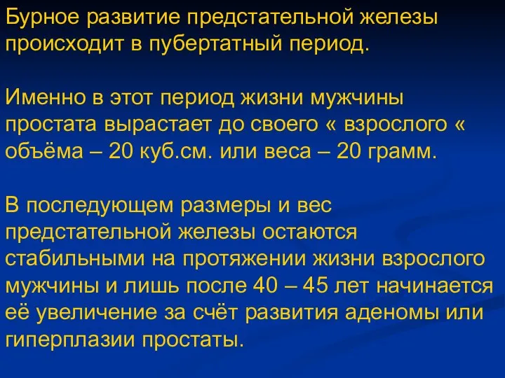 Бурное развитие предстательной железы происходит в пубертатный период. Именно в этот