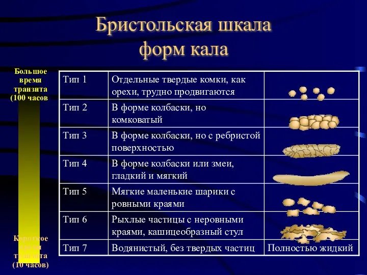 Бристольская шкала форм кала Большое время транзита (100 часов) Короткое время транзита (10 часов)