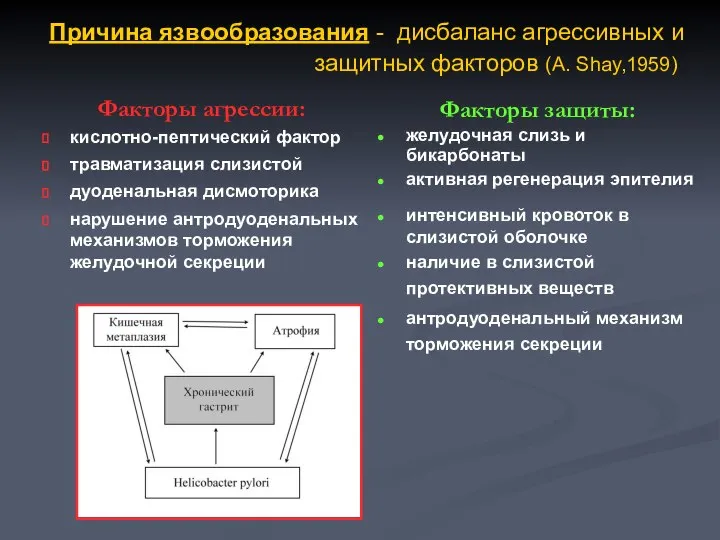 Причина язвообразования - дисбаланс агрессивных и защитных факторов (A. Shay,1959) Факторы