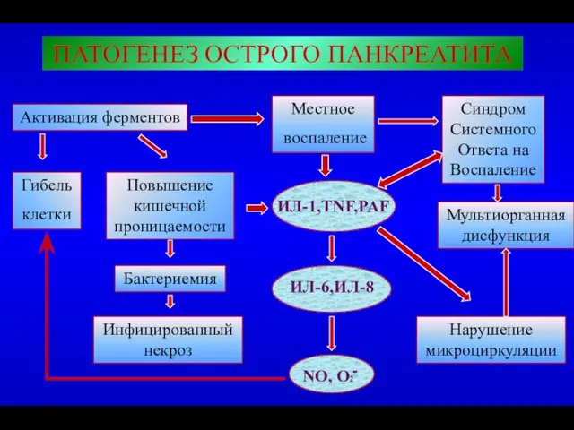 ПАТОГЕНЕЗ ОСТРОГО ПАНКРЕАТИТА Местное воспаление Активация ферментов Синдром СистемногоОтвета на Воспаление