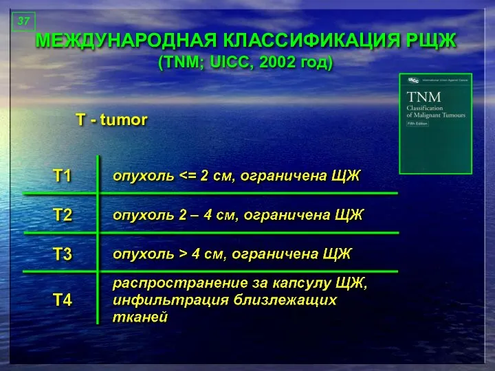 МЕЖДУНАРОДНАЯ КЛАССИФИКАЦИЯ РЩЖ (TNM; UICC, 2002 год) Т - tumor 37