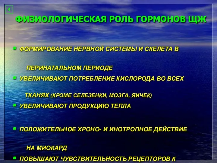 ФИЗИОЛОГИЧЕСКАЯ РОЛЬ ГОРМОНОВ ЩЖ ФОРМИРОВАНИЕ НЕРВНОЙ СИСТЕМЫ И СКЕЛЕТА В ПЕРИНАТАЛЬНОМ