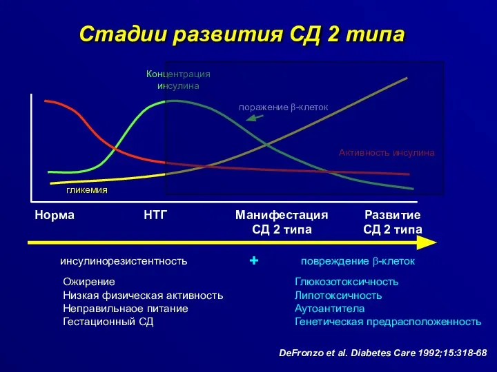 DeFronzo et al. Diabetes Care 1992;15:318-68 Стадии развития СД 2 типа