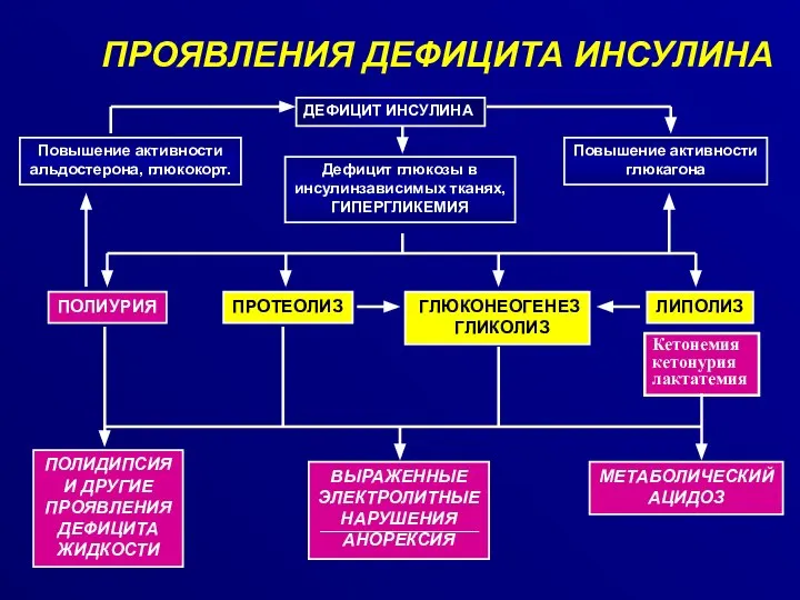 ПРОЯВЛЕНИЯ ДЕФИЦИТА ИНСУЛИНА ДЕФИЦИТ ИНСУЛИНА Дефицит глюкозы в инсулинзависимых тканях, ГИПЕРГЛИКЕМИЯ