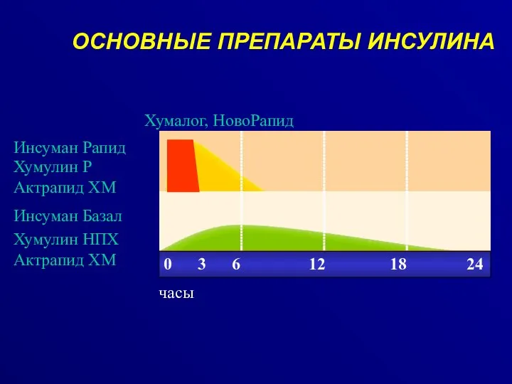 Инсуман Рапид Инсуман Базал часы ОСНОВНЫЕ ПРЕПАРАТЫ ИНСУЛИНА Хумулин Р Актрапид ХМ Хумулин НПХ Актрапид ХМ