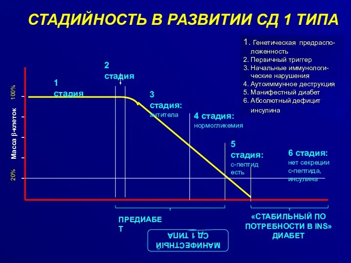 СТАДИЙНОСТЬ В РАЗВИТИИ СД 1 ТИПА 1. Генетическая предраспо- ложенность 2.