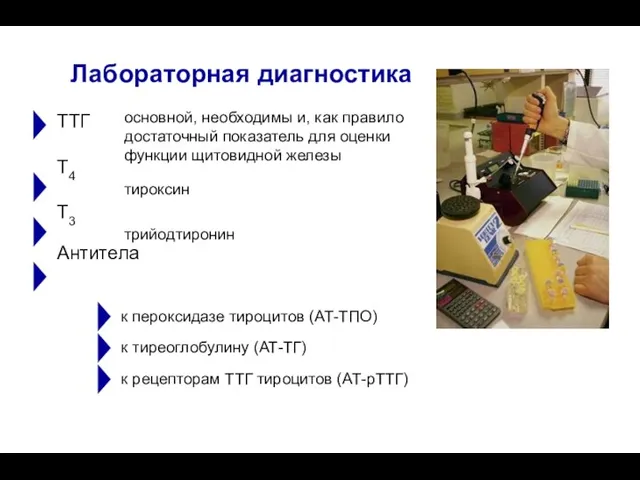 ТТГ T4 T3 Антитела Лабораторная диагностика основной, необходимы и, как правило