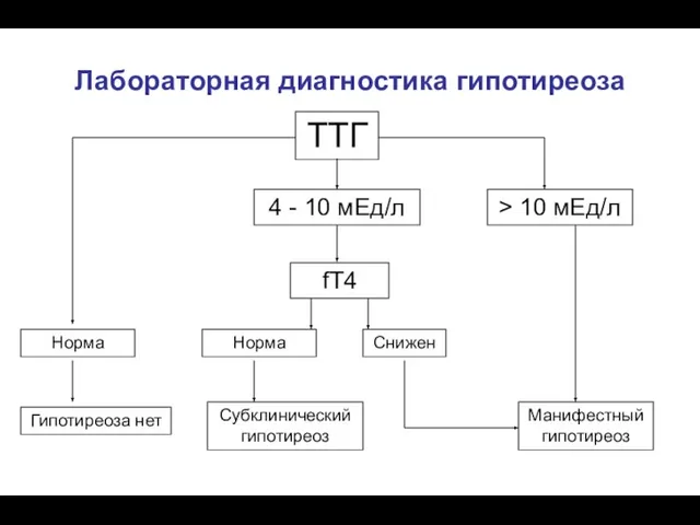 Лабораторная диагностика гипотиреоза ТТГ Норма Гипотиреоза нет > 10 мЕд/л Манифестный