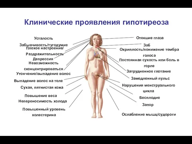 Усталость Забывчивость/тугодумие Плохое настроение/ Раздражительность Депрессия Невозможность сконцентрироваться Утончение/выпадение волос Выпадение