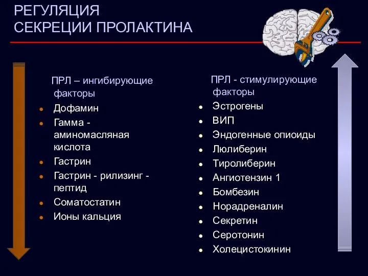 РЕГУЛЯЦИЯ СЕКРЕЦИИ ПРОЛАКТИНА ПРЛ – ингибирующие факторы Дофамин Гамма - аминомасляная