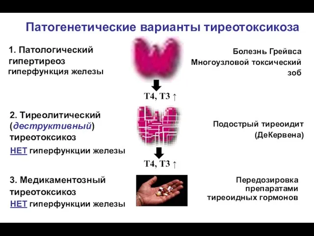 Патогенетические варианты тиреотоксикоза 1. Патологический гипертиреоз 2. Тиреолитический (деструктивный) тиреотоксикоз 3.