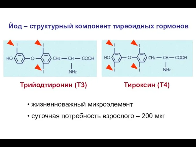 Йод – структурный компонент тиреоидных гормонов Трийодтиронин (Т3) Тироксин (Т4) жизненноважный