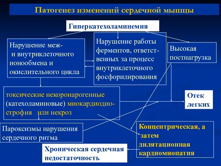 Патогенез изменений сердечной мышцы Нарушение работы ферментов, ответст- венных за процесс