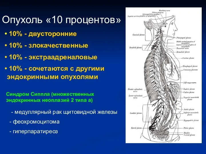 Опухоль «10 процентов» 10% - двусторонние 10% - злокачественные 10% -