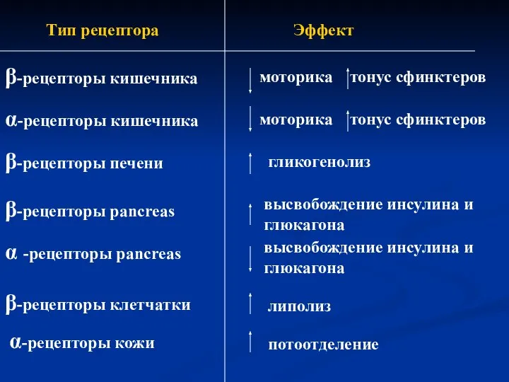 Тип рецептора Эффект α-рецепторы кожи α-рецепторы кишечника моторика тонус сфинктеров α