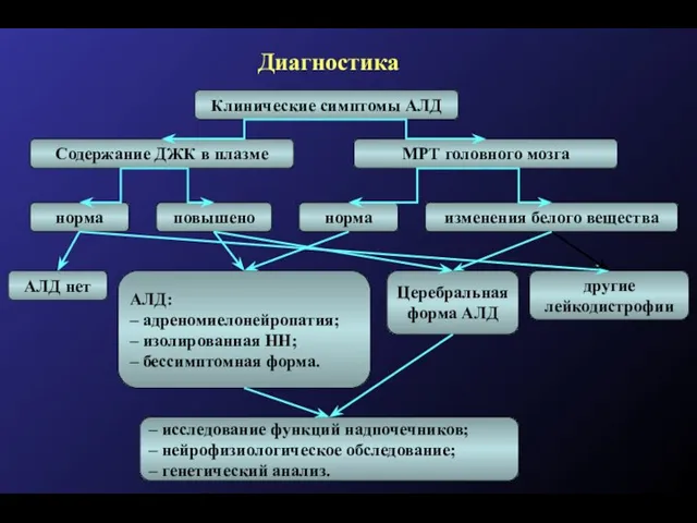 Кафедра эндокринологии ММА им. И.М. Сеченова Диагностика Клинические симптомы АЛД МРТ