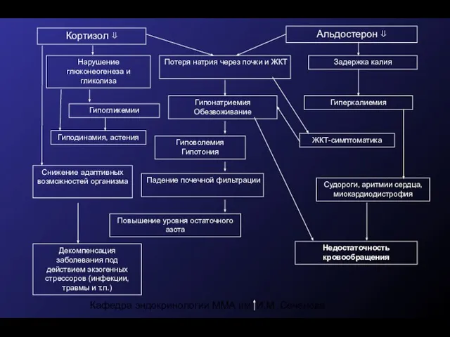 Кафедра эндокринологии ММА им. И.М. Сеченова Кортизол ⇓ Альдостерон ⇓ Потеря